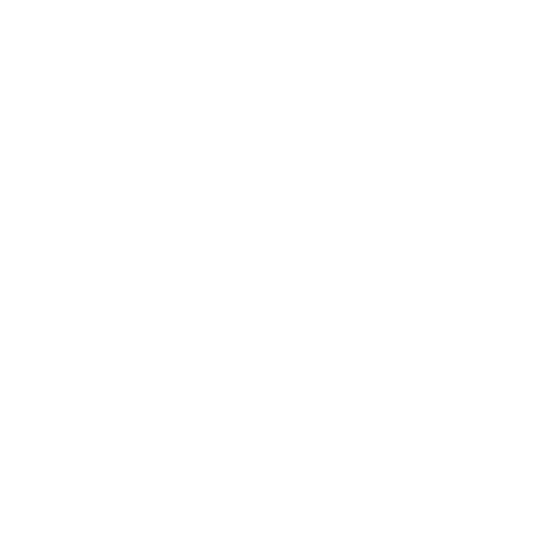 Eduvoy logo white